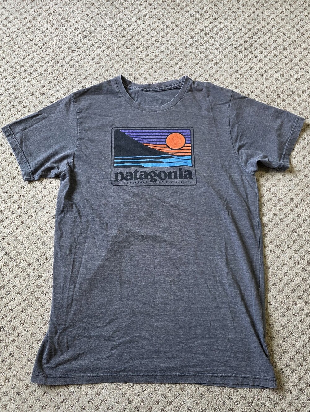 Patagonia Charcoal Graphic Tee with Orange and Blue Sunset